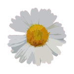 DAISY Award logo