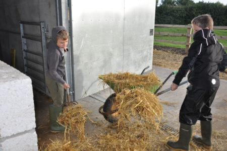 Young patients on a visit to Rand Farm Park
