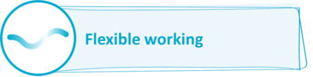 Flexible working icon