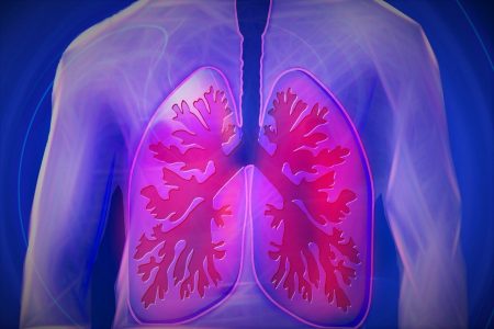 Image of lungs