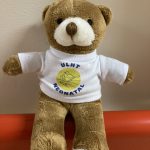 Neonatal memento bear