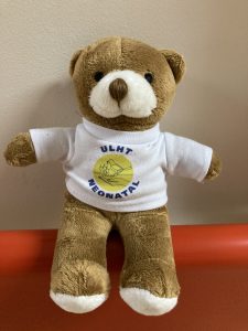 Neonatal memento bear