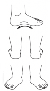 Figure 1. Children’s feet may have an arch