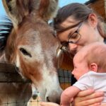 mum and baby stroking a donkeys head