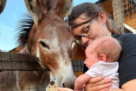 mum and baby stroking a donkeys head